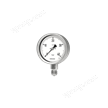 波登管壓力表RChgG 100