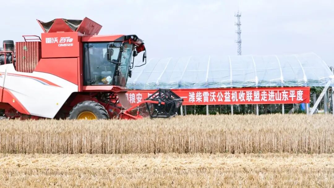 大国粮安 与沃同行丨雷沃公益机收情暖胶东